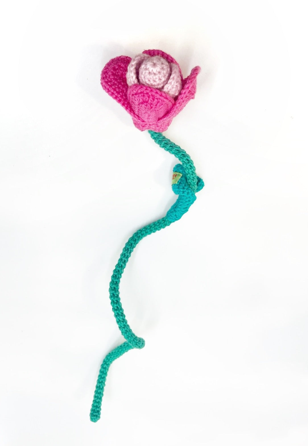 Tulip