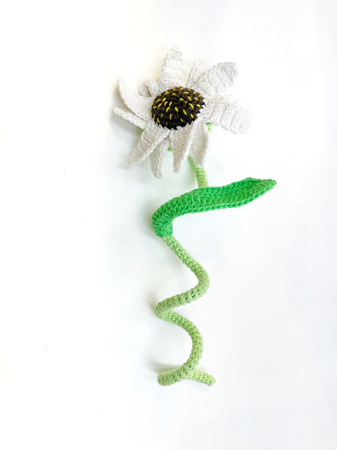 Calista Flower