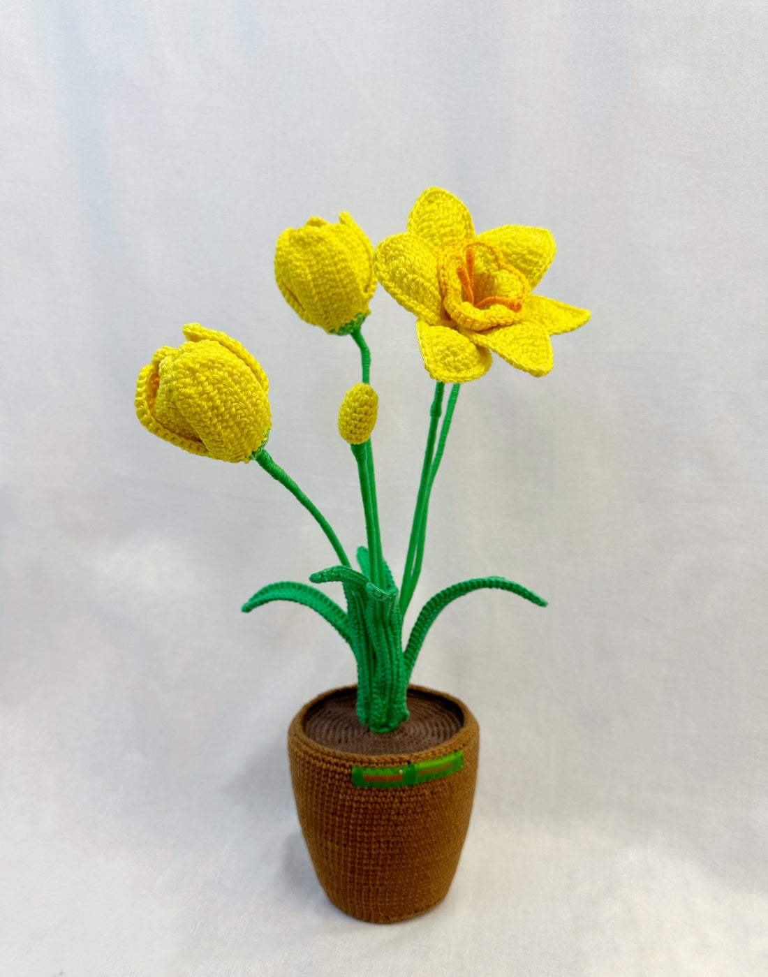Narcis Flower