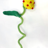 Polkadot Flower