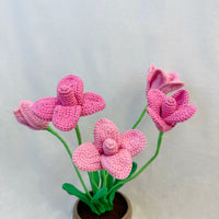 Tulips Flowerpot