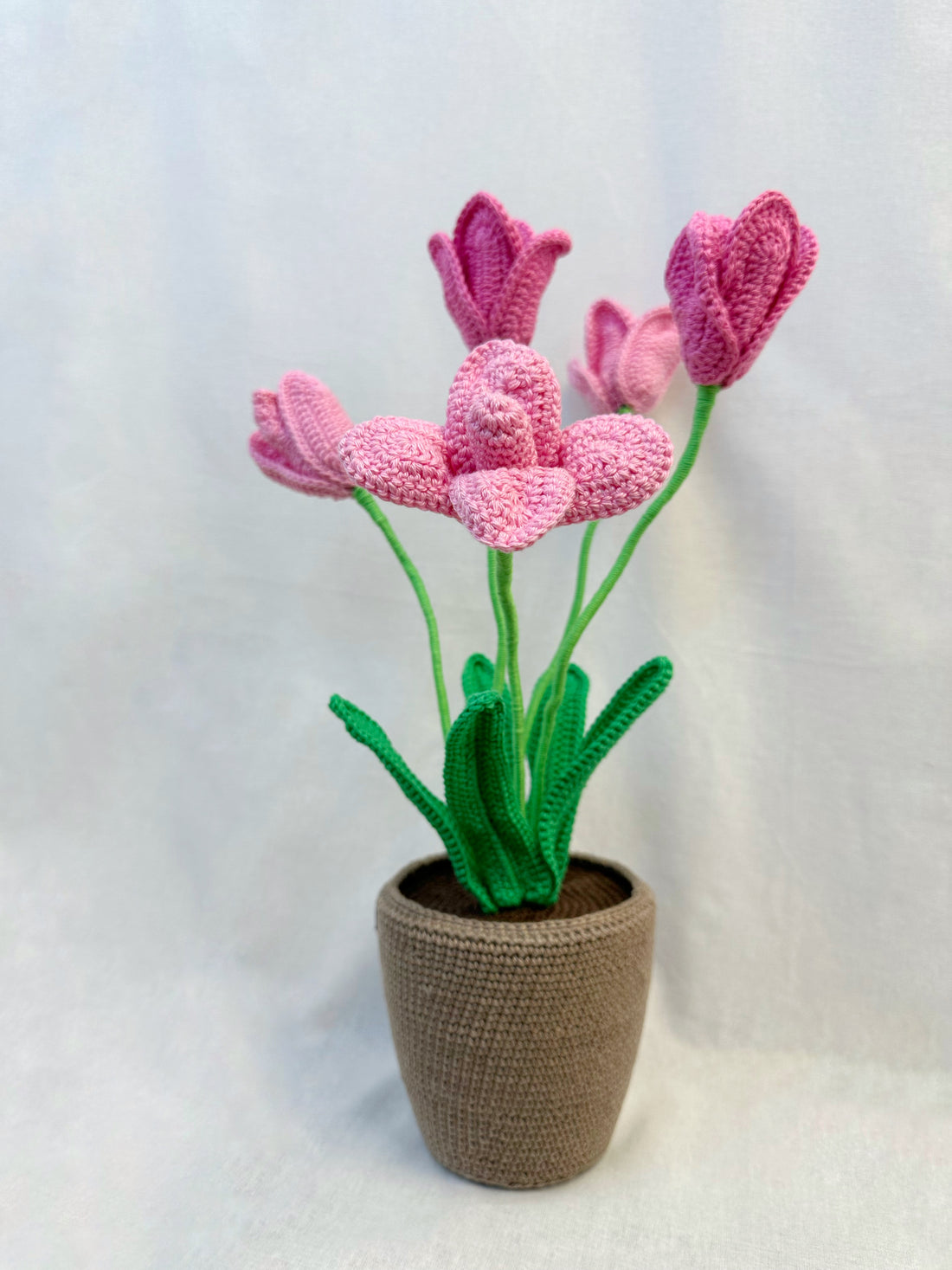 Tulips Flowerpot