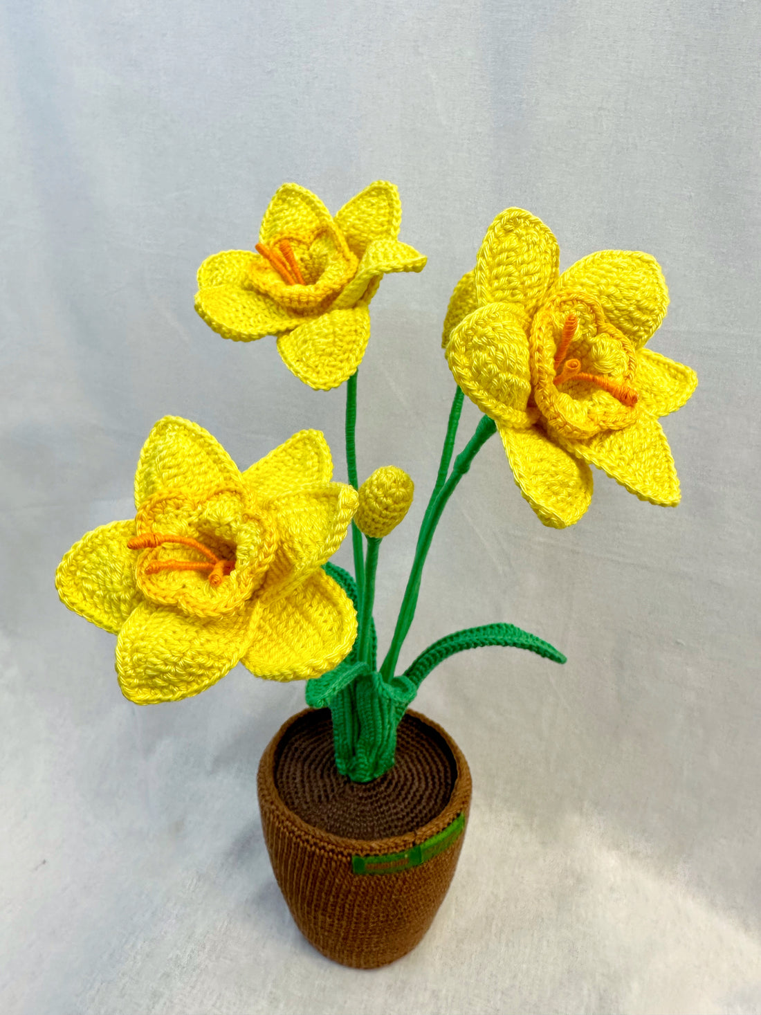 Narcis Flower