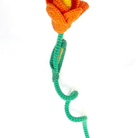 Tulip