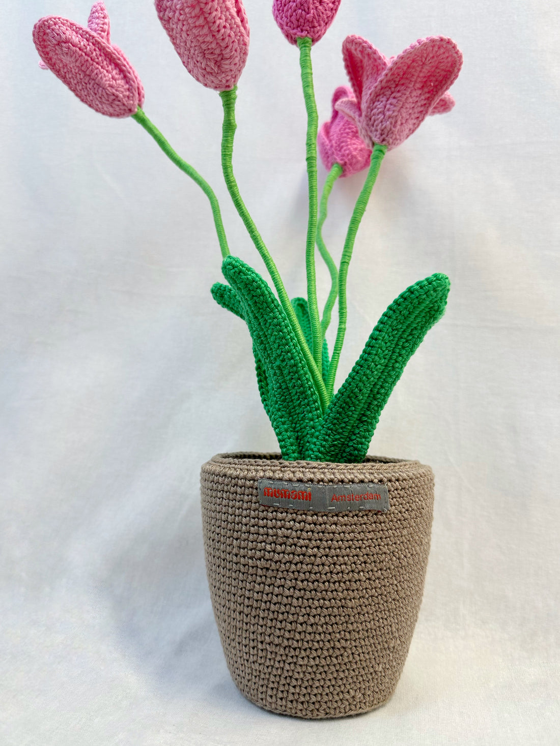 Tulips Flowerpot