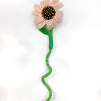 Calista Flower