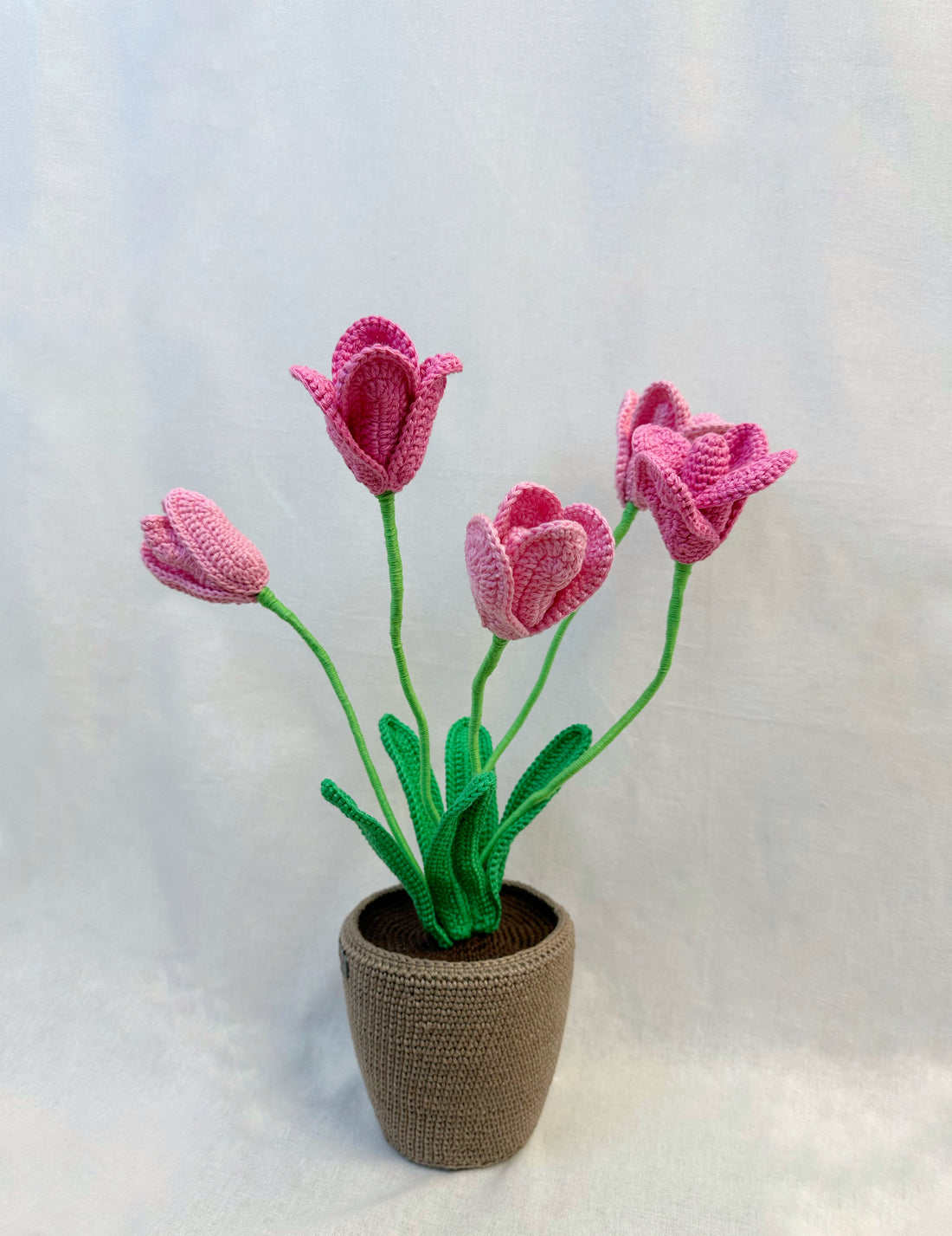 Tulips Flowerpot