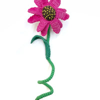 Calista Flower