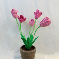 Tulips Flowerpot