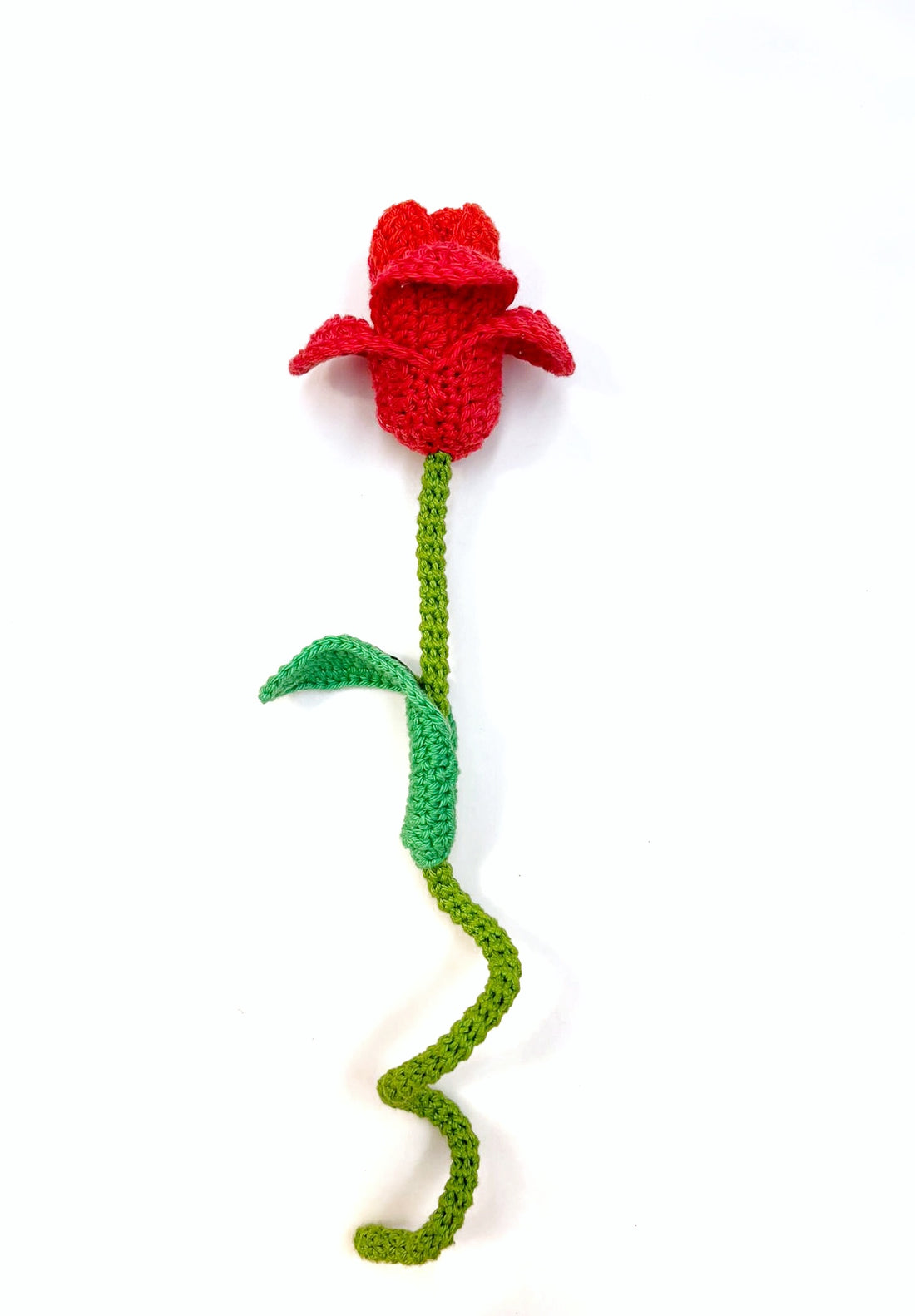 Tulip