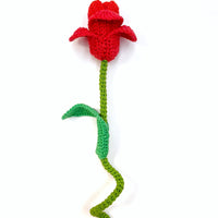 Tulip