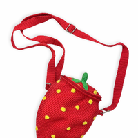 Strawberry Bag