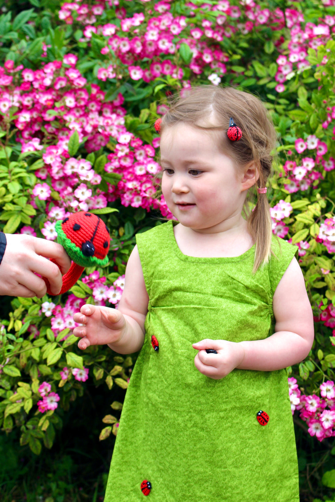 Ladybug Rattle