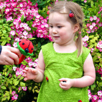 Ladybug Rattle