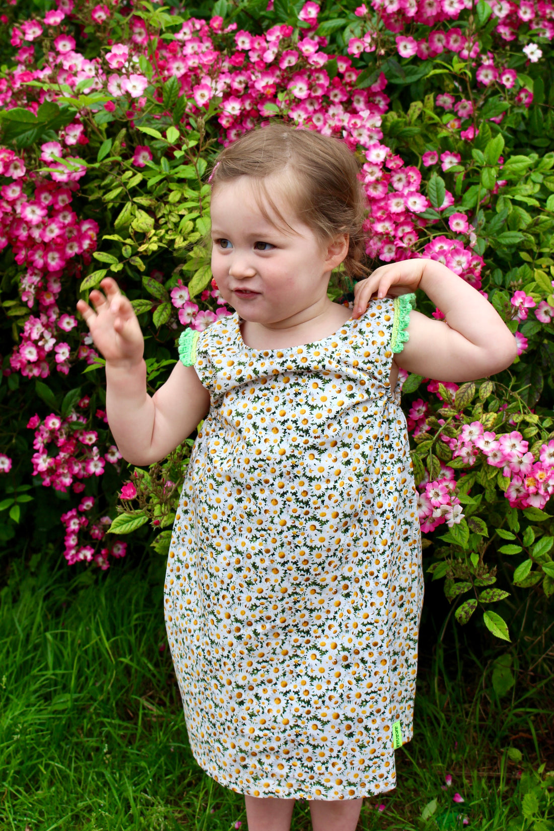 Daisy Dress
