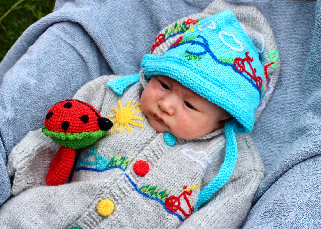 Ladybug Rattle