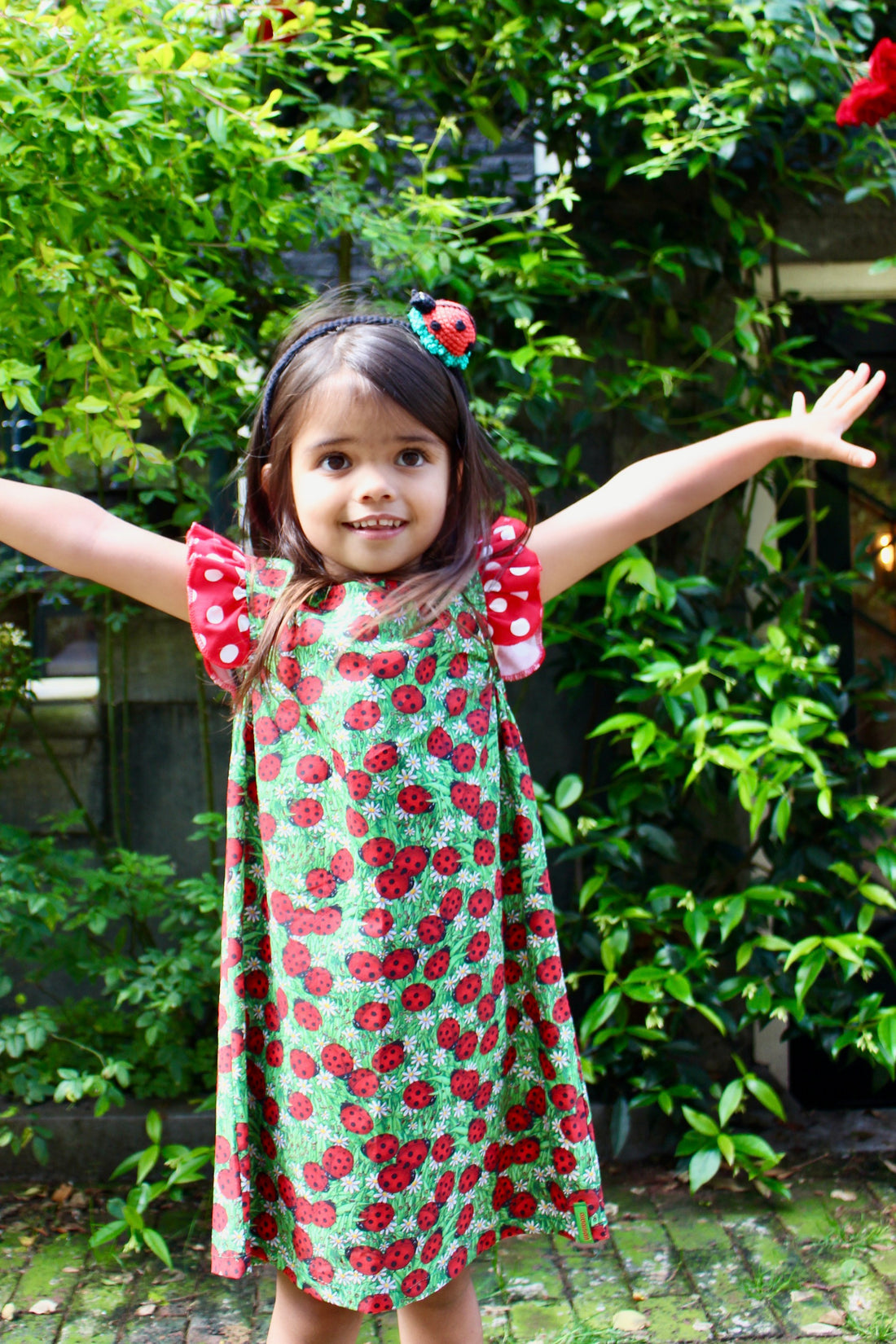 Ladybug Field Dress
