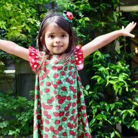 Ladybug Field Dress