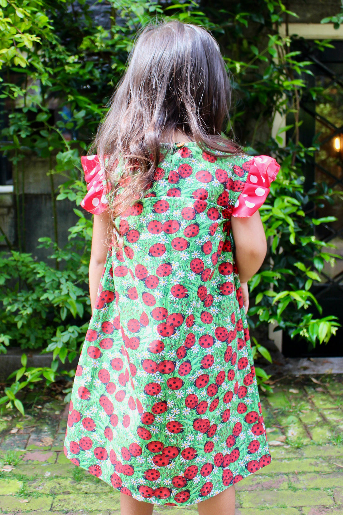 Ladybug Field Dress