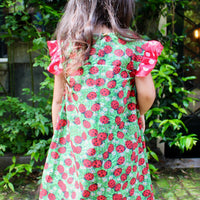 Ladybug Field Dress