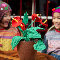 Anthurium Flowers