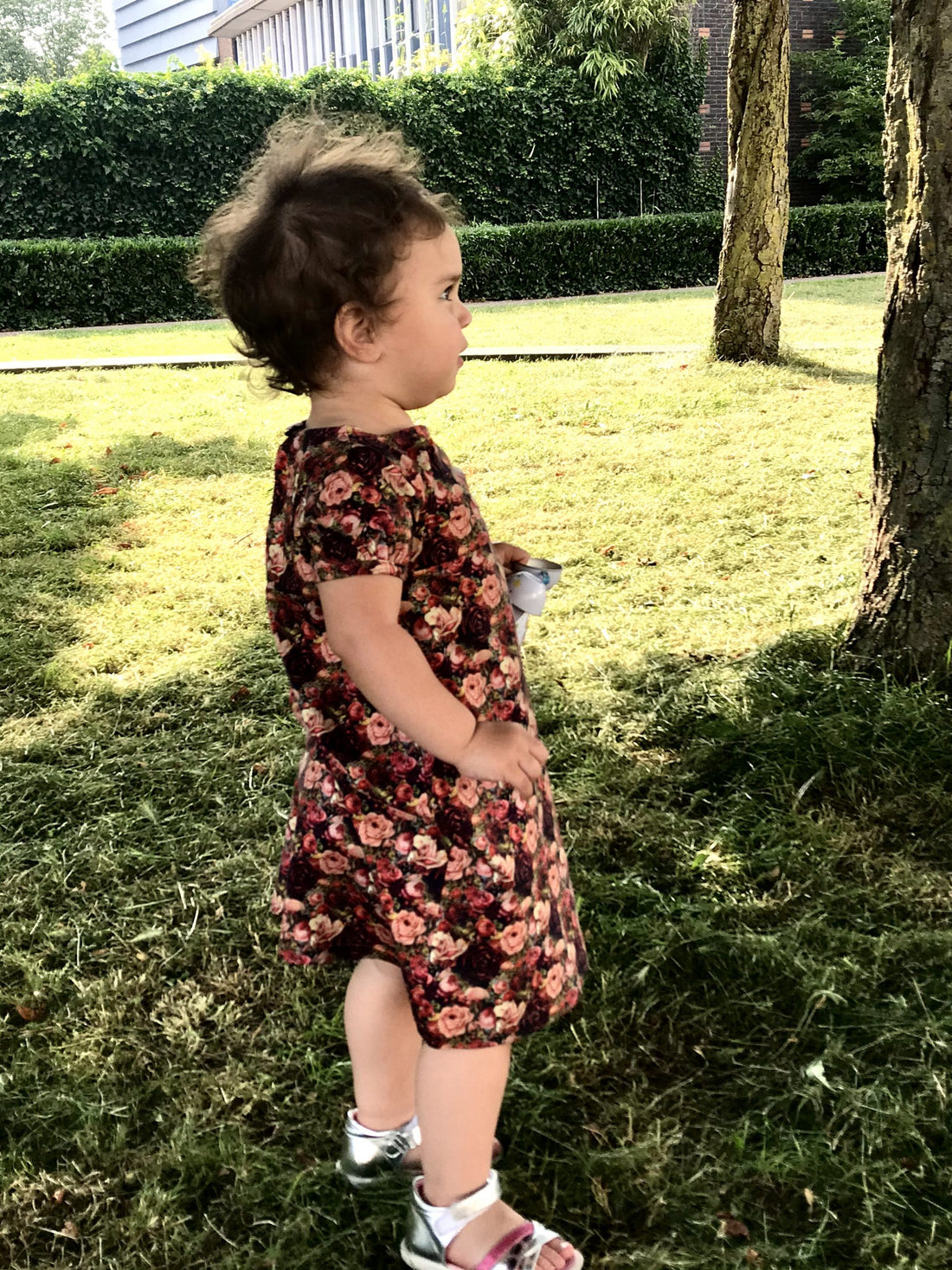 Rosy Cat Dress