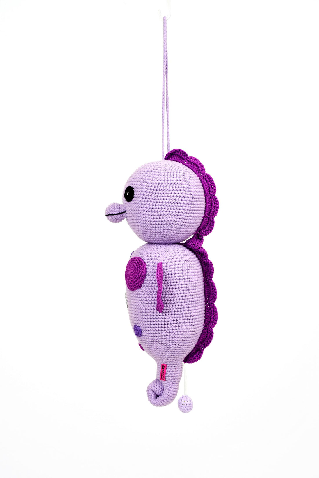 Seahorse Music Box