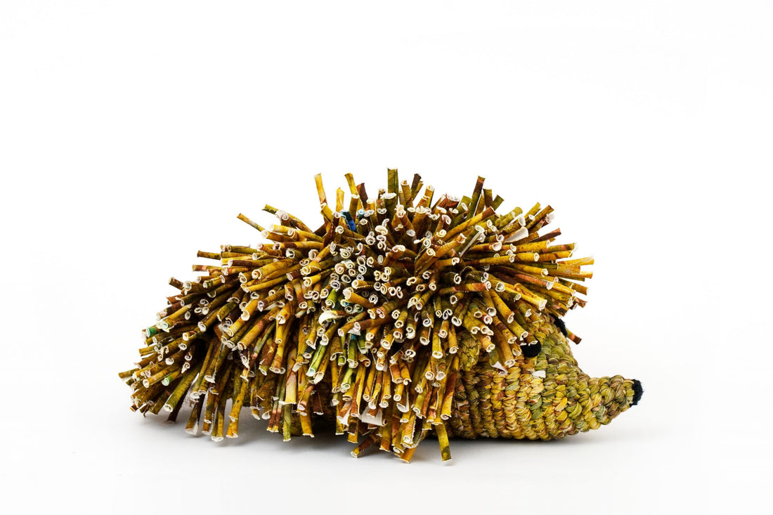 Recycled Hedgehog