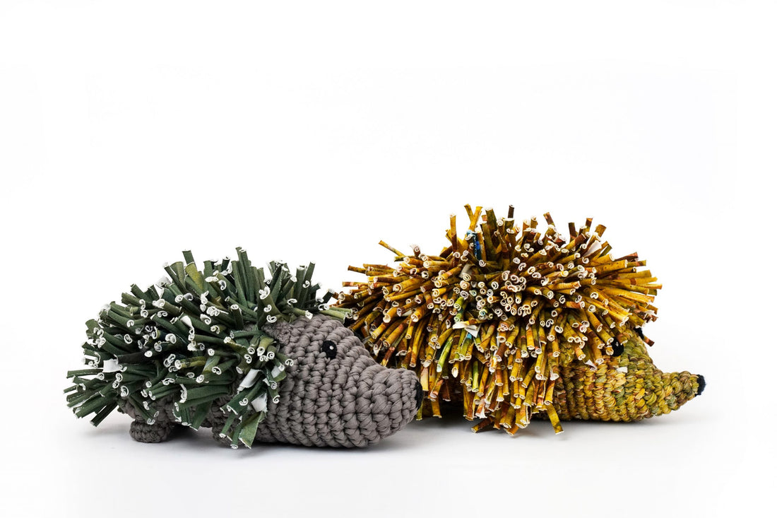 Zero Waste Hedgehog