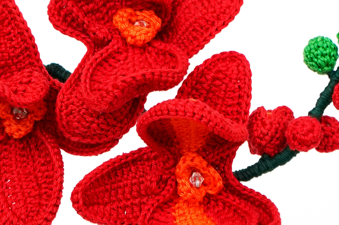 Orchid