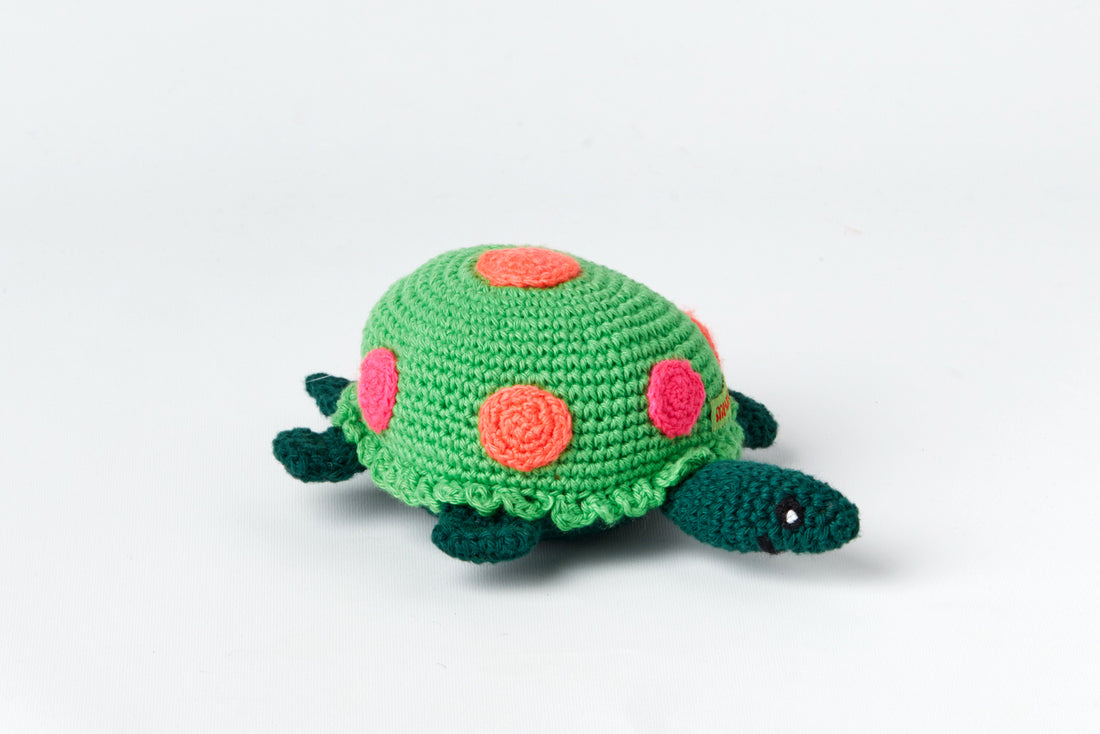 Turtle rattle