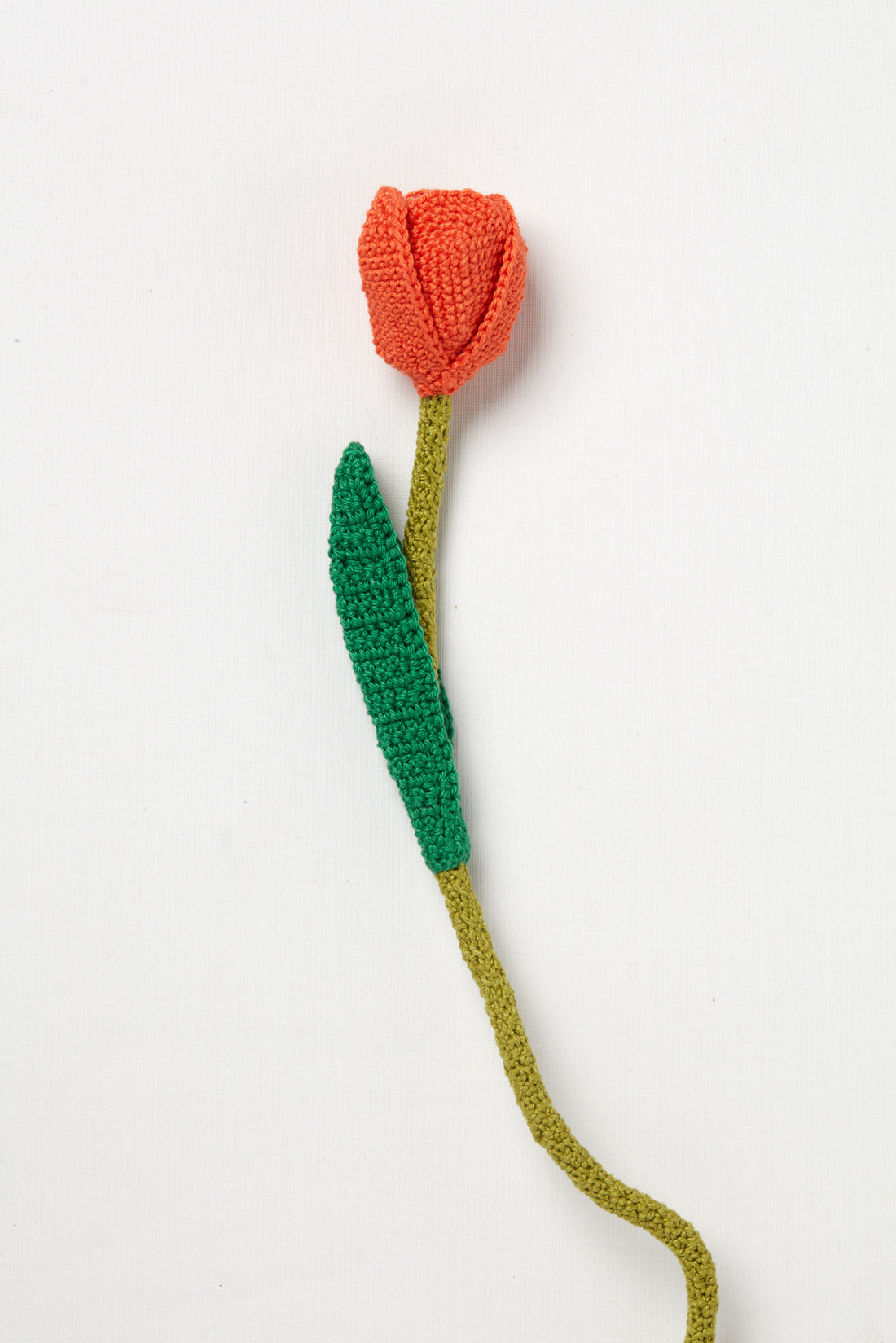 Tulip