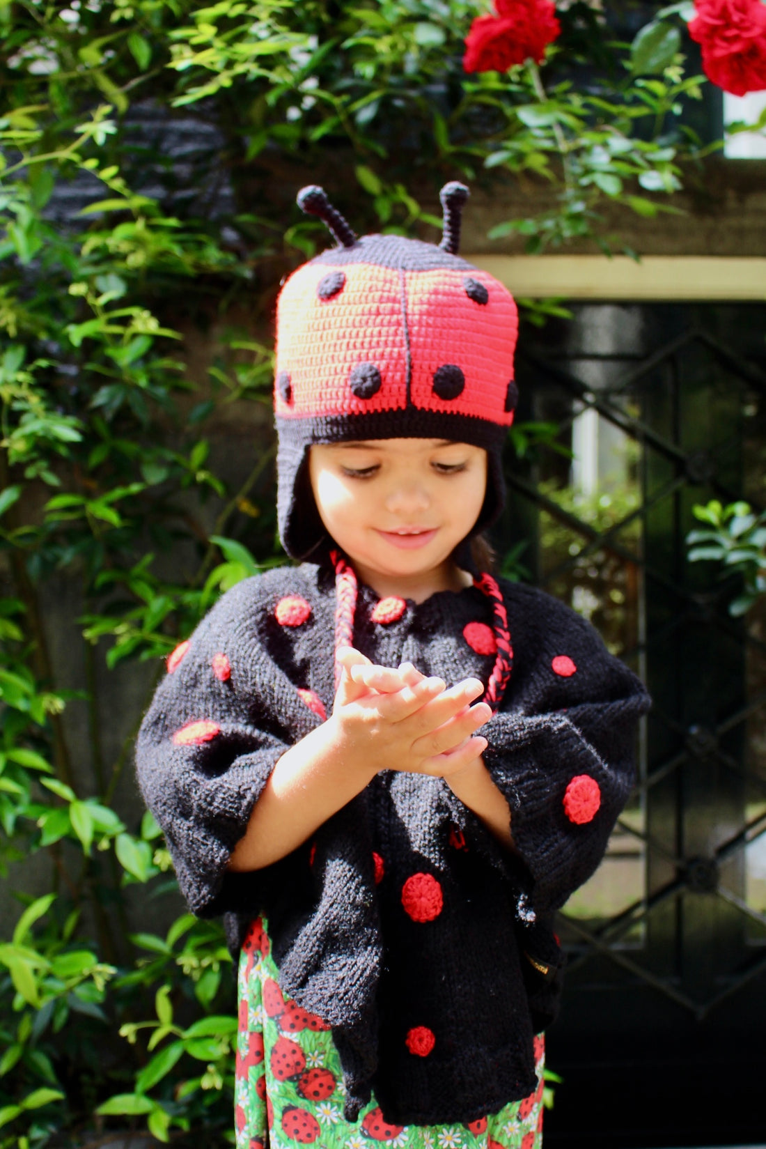 Ladybug Hat