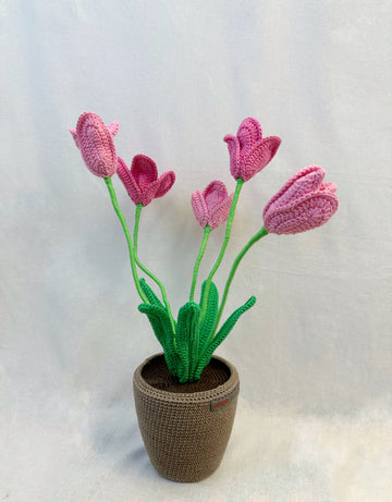 Tulips Flowerpot