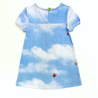 Fairy Daisies Dress